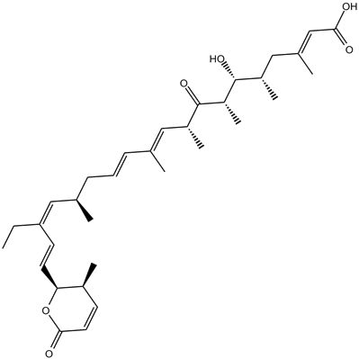 Leptomycin B