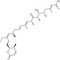 Leptomycin B
