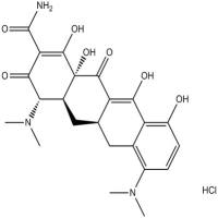 Minocycline HCl
