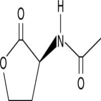 Acetyl-L-Homoserine lactone