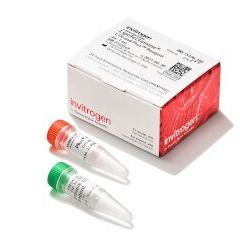 Invitrogen Lipofectamine LTX转染试剂