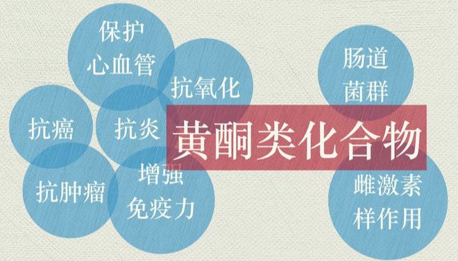 黄酮类化合物的结构及作用