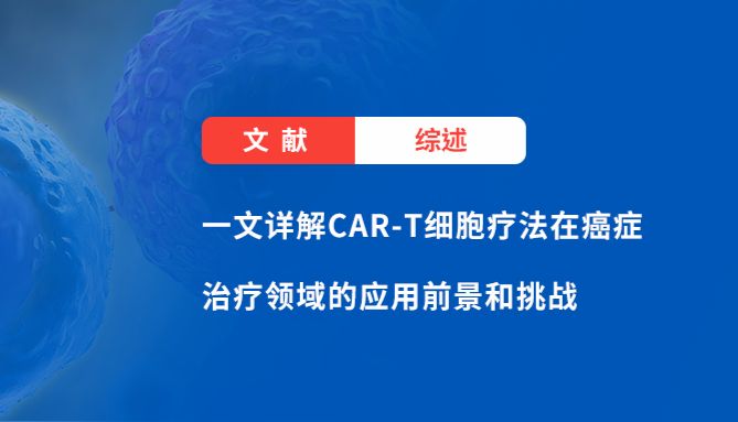 综述丨一文详解CAR-T细胞疗法在癌症治疗领域的应用前景和挑战