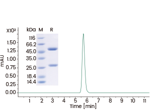 【免费+包邮】自研高特异性抗Payload抗体，助力ADC药物分析
