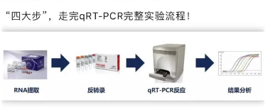 凡知医学多重一步法qRT-PCR预混液原理