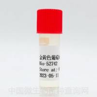 Staphylococcus aureaus bio-52742