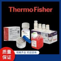 A1286001*Gibco*CTS™ GlutaMAX™-I 添加剂