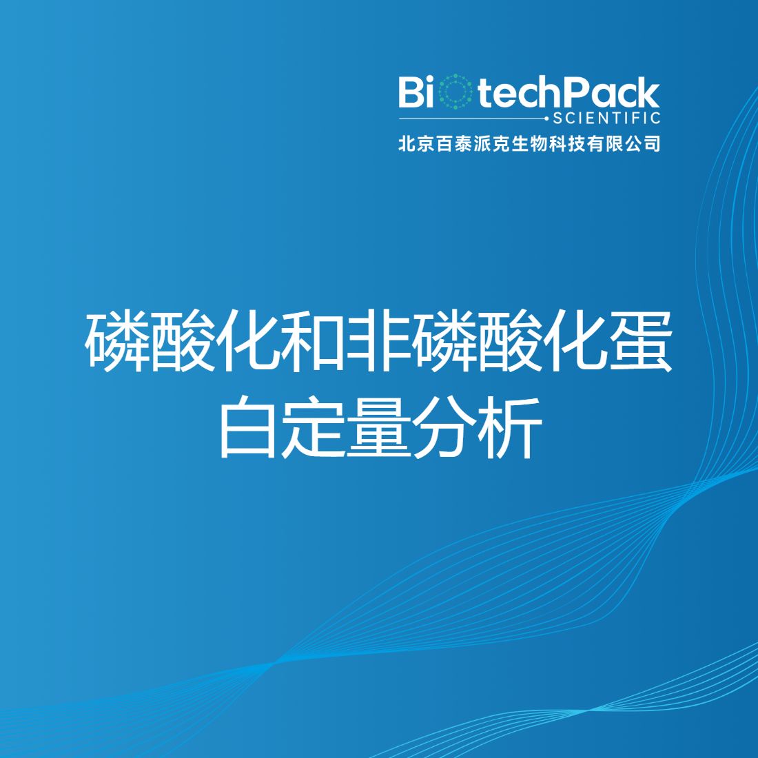 磷酸化和非磷酸化蛋白定量分析