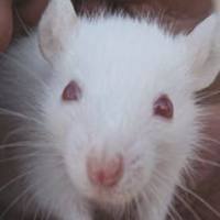 代谢组学送样要求