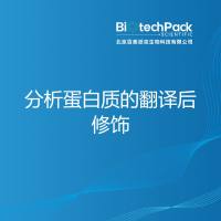 分析蛋白质的翻译后修饰