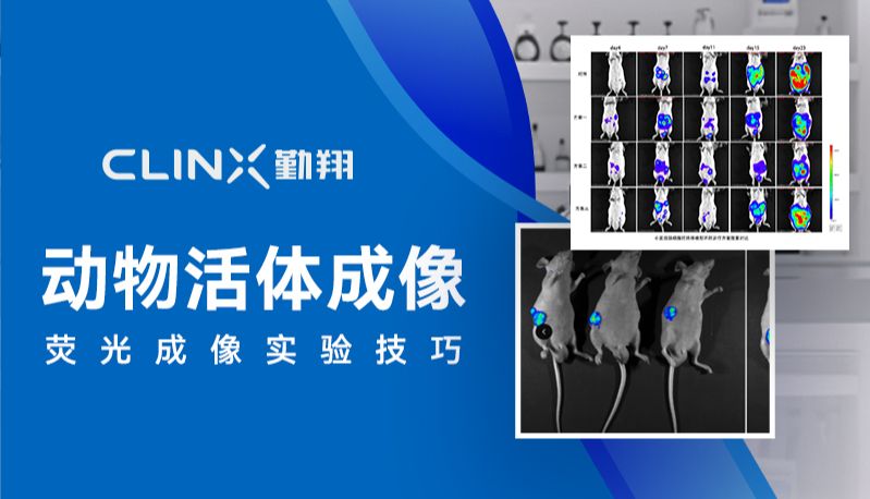 动物活体成像 - 荧光成像实验技巧