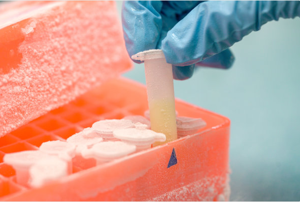 ELISA 测定中可能常会出现的问题及解决方法