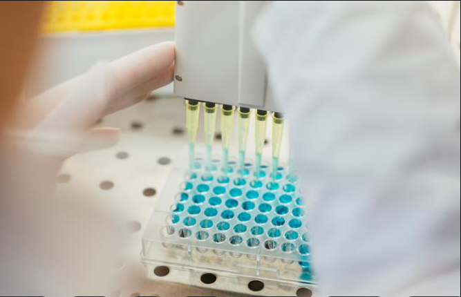 大鼠卵巢颗粒细胞试剂盒实验技术