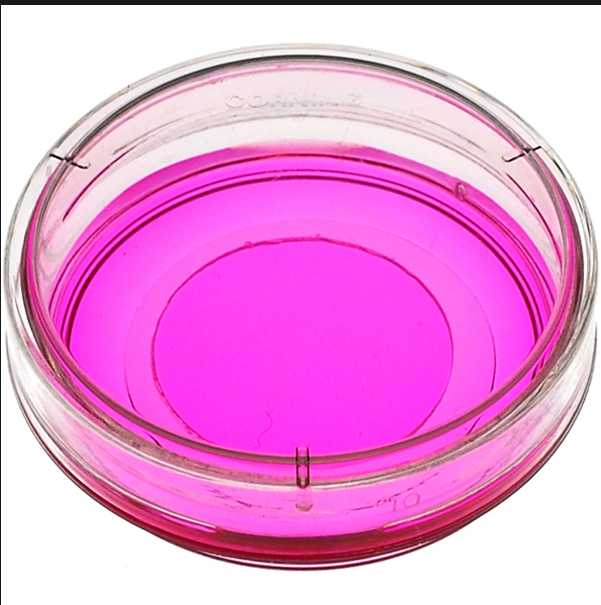 mattek特约代理商|现货促销 P35G-1.5-14-C