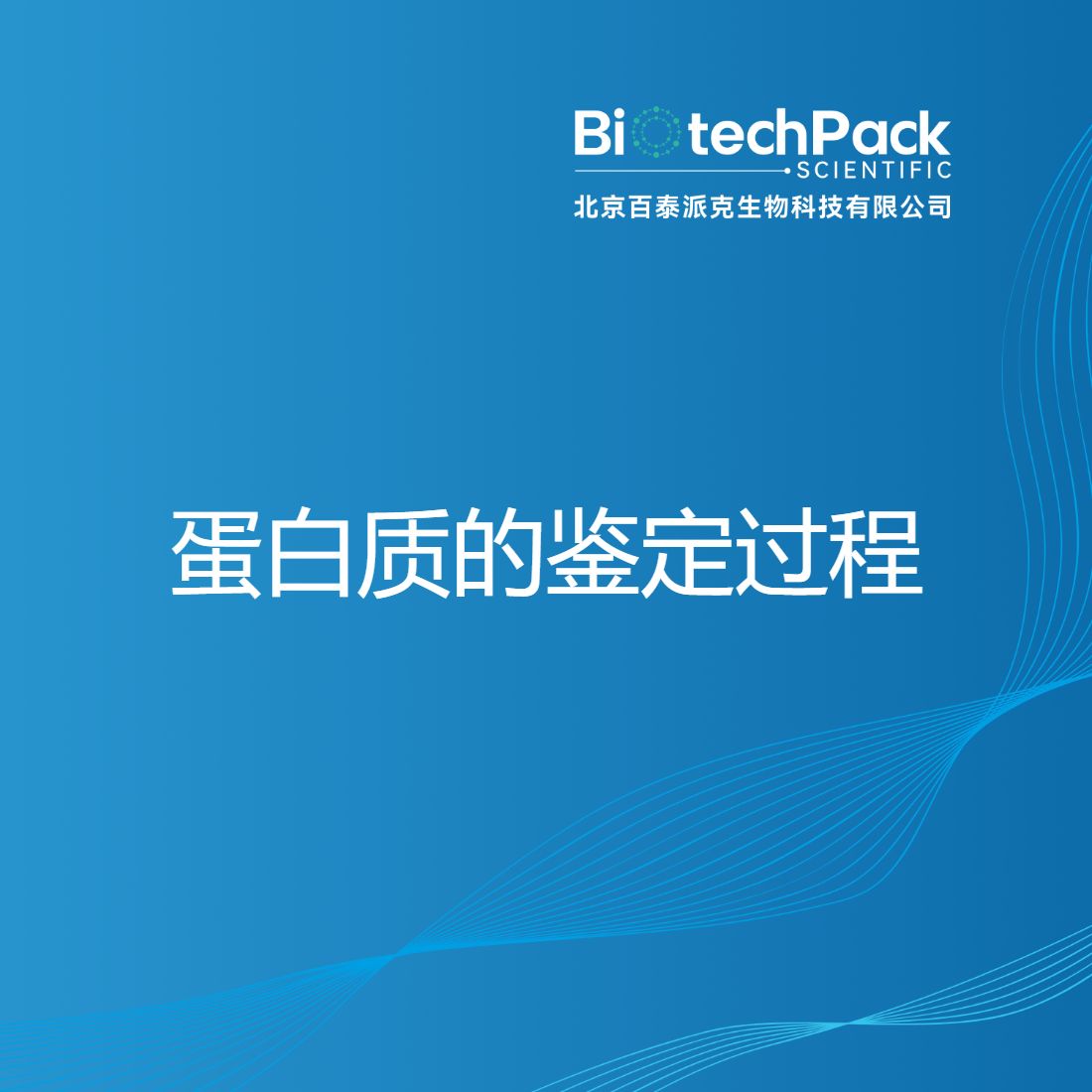 蛋白质的鉴定过程