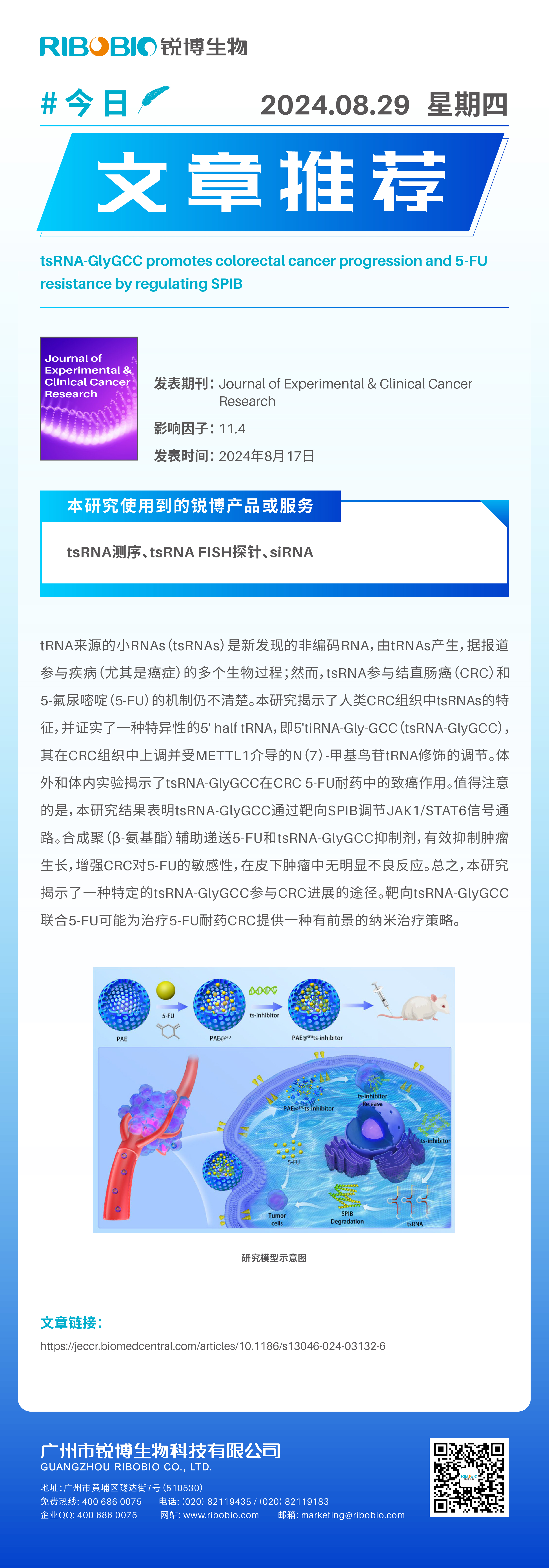 今日文章推荐（IF11.4）丨tsRNA-GlyGCC通过调节SPIB促进CRC进展和5-FU耐药