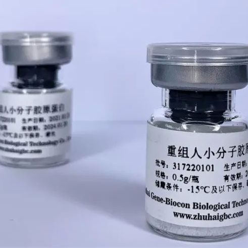 重组人小分子胶原蛋白