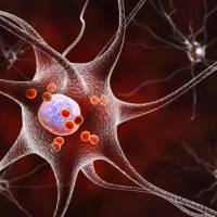 RNA测序样本注意事项