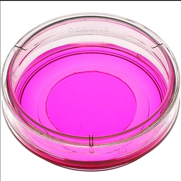 mattek特约代理商|现货促销 P35G-1.5-14-C 35 mm Dish | No. 1.5 Coverslip | 14 mm Glass Diameter | Uncoated