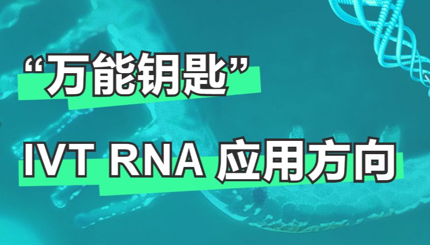 “超级钥匙”——IVT RNA应用方向