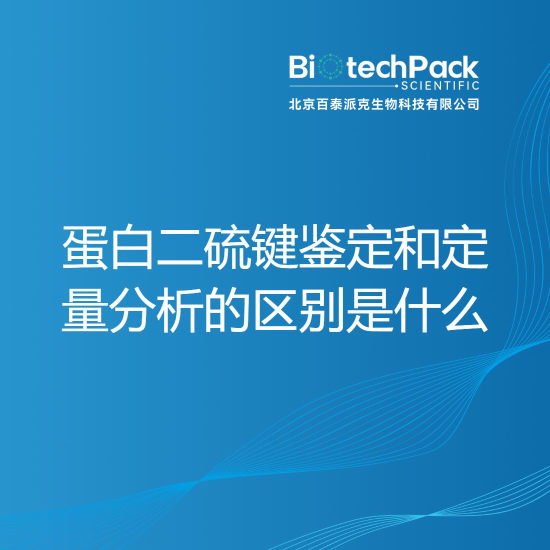 蛋白二硫键鉴定和定量分析的区别是什么