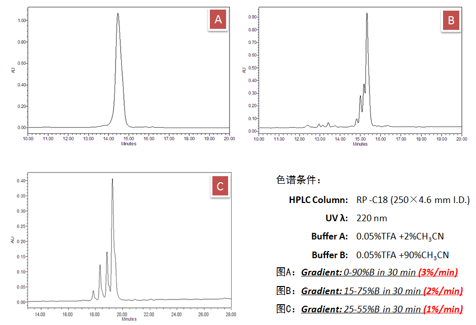 EVKM-Beta-Amyloid (1-8)