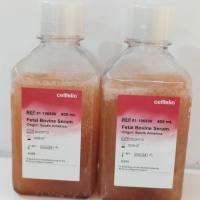 Cellfolio 胎牛血清（FBS)