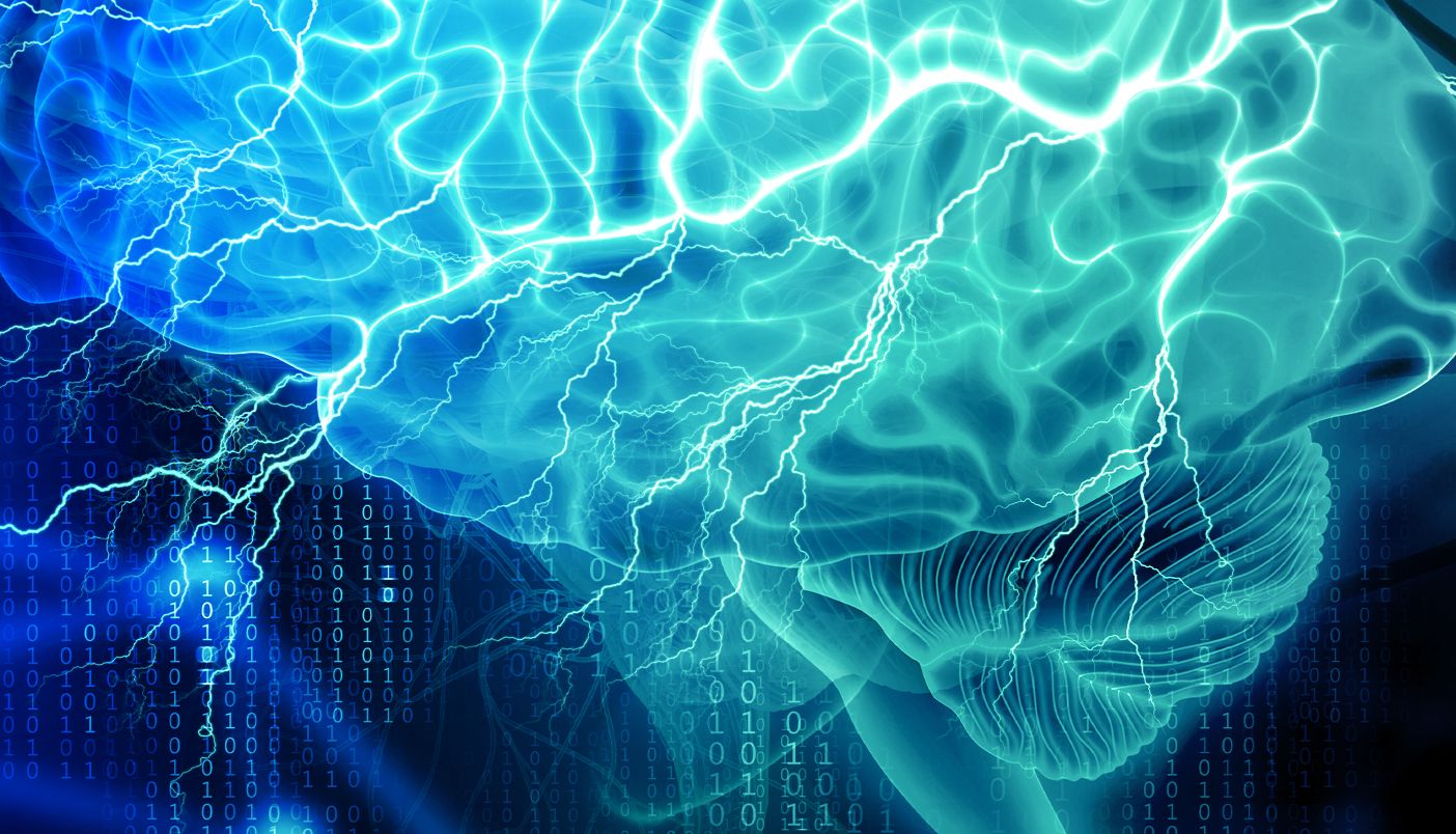 用于神经递质研究的新型重组抗体