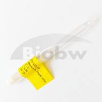 长双歧杆菌长亚种