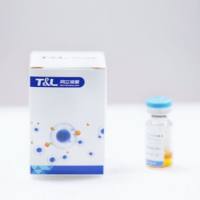 MaxSortin®CD3分选磁珠