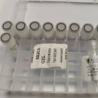 CEF4, Influenza Virus NP (342-351)