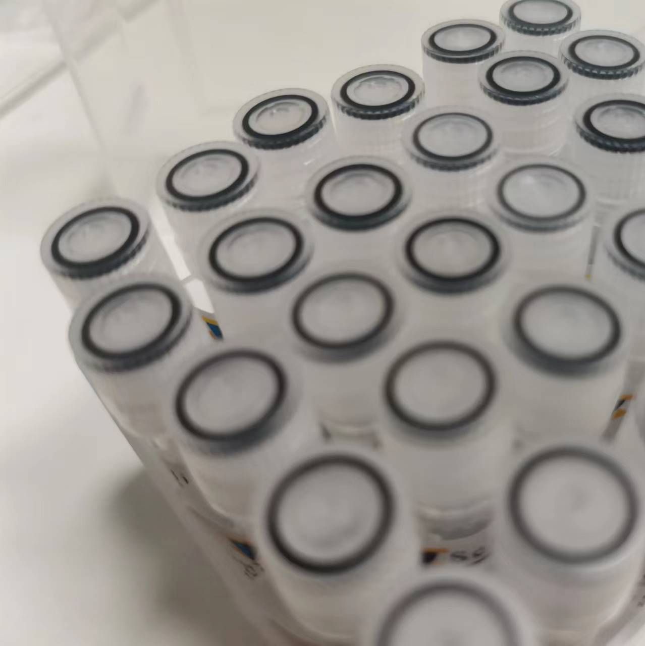 Beta-Amyloid (5-15)-Lys(Biotin)-NH2