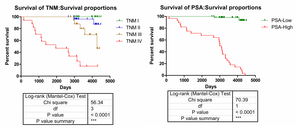 前列腺癌组织芯片（PRC1601)