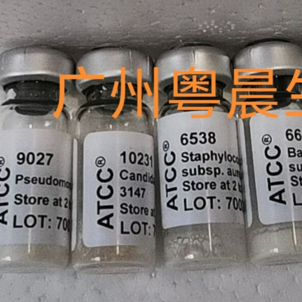 德国DSM菌种菌株，ATCC肿瘤细胞、菌种菌株9027现货