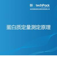 蛋白质定量测定原理