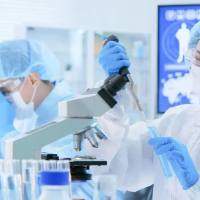 扩增子测序类项目