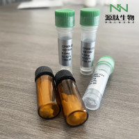 P110/1411976-18-5/多肽合成