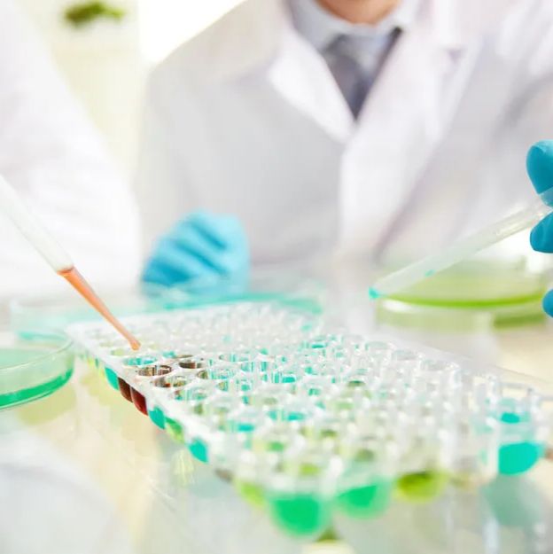 Label free蛋白质谱