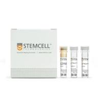 EasySep™小鼠T细胞分选试剂盒