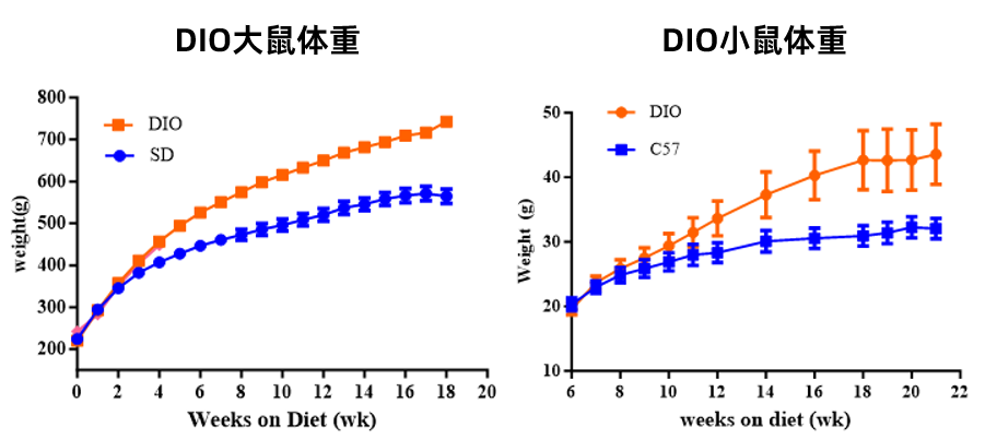 代谢综合征:6种关键的疾病动物模型-公司新闻-北京维通利华实验动物技术有限公司