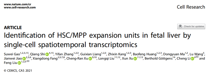 解锁多组学技术串联的力量：探寻胎肝中造血干细胞扩展的秘密