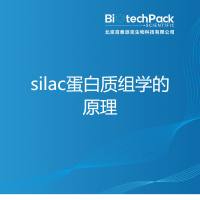 silac蛋白质组学的原理-百泰派克生物科技