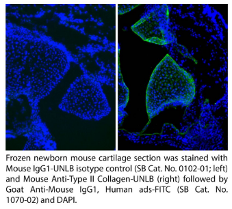 SouthernBiotech小鼠IgG1-UNLB (15H6)促销