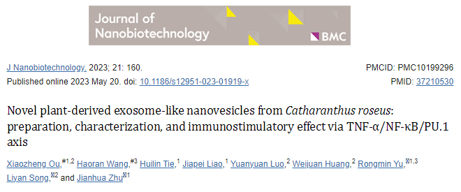 10分+，新型植物源性长春花外泌体通过TNF-α/NF-κB/ PU.1轴的免疫刺激作用