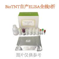 促销ELISA（human、rat、mouse）