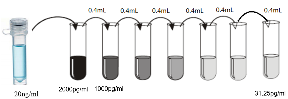 Mouse IL-6 ELISA Kit
