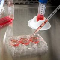 土壤养分/元素检测简介