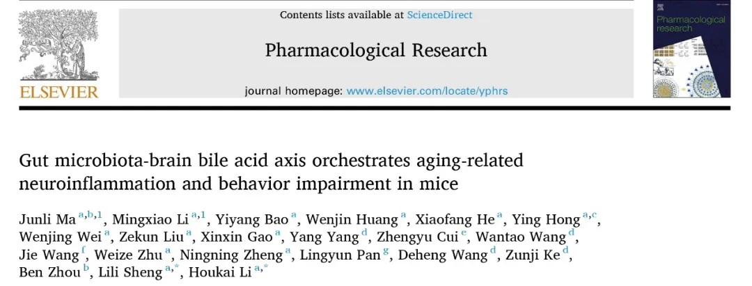 李后开教授团队在“肠道菌-胆汁酸轴”参与衰老的中枢病变研究中取得新进展