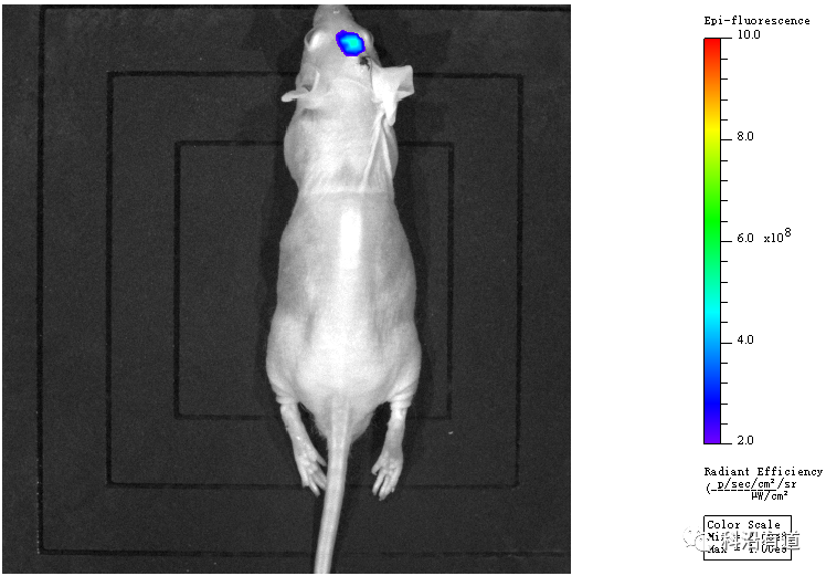 1676279533567232.png 图片