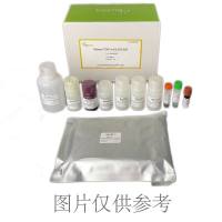 Mouse T4 ELISA（血清总甲状腺素）（total Thyroxin）